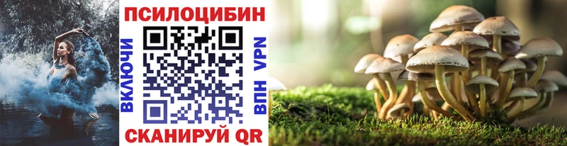 где купить наркотик Никольск MEGA ССЫЛКА Галлюциногенные грибы Magic Shrooms
