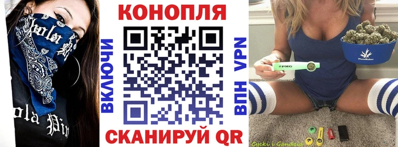 Каннабис SATIVA & INDICA  сколько стоит  Никольск 